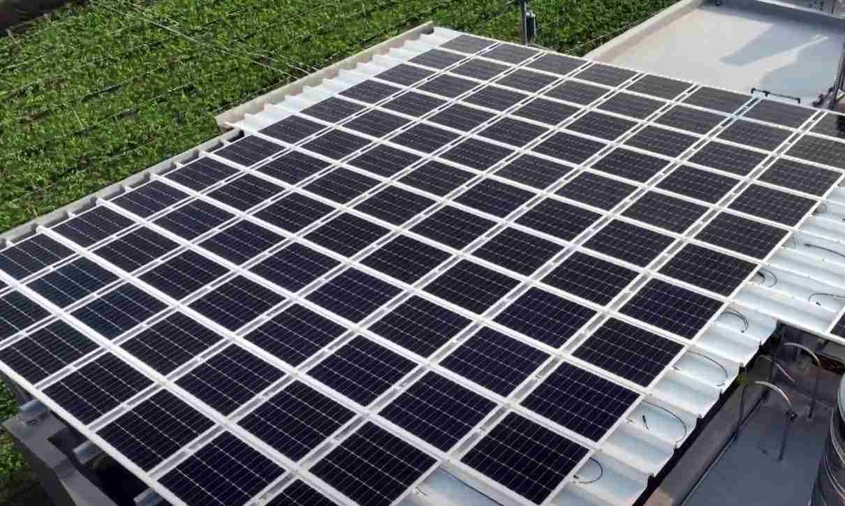 赏金国际SunSteel光电浪板升级双玻结构，，，以提升机械负载强度及气候耐候度，，，可广泛运用于多元场域